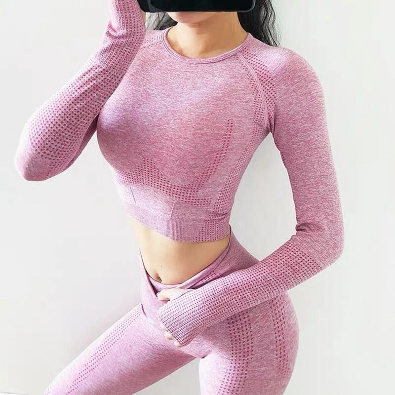 Women Seamless yoga set Fitness Sport Suits GYM cloth Yoga  Shirts High Waist Running Leggings Workout Pants Shirts Bra Tops - Olasit