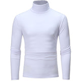 Solid Color Turtleneck - Olasit